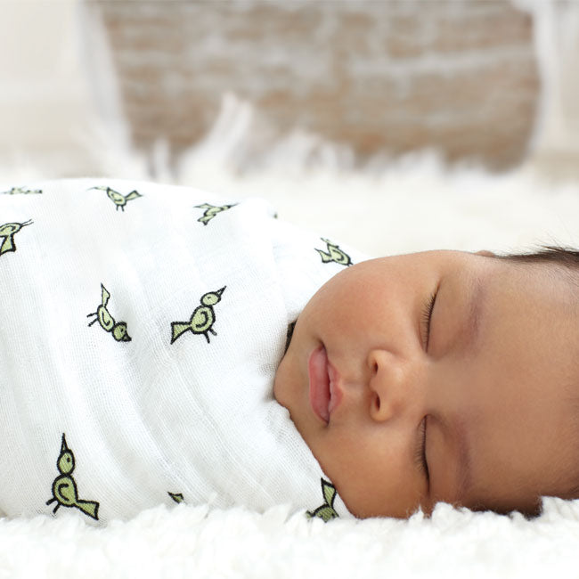 aden + anais jungle jam classic muslin 4-pack swaddles