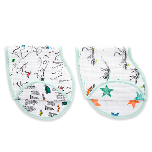 aden + anais colour pop classic burpy bibs 2 pack