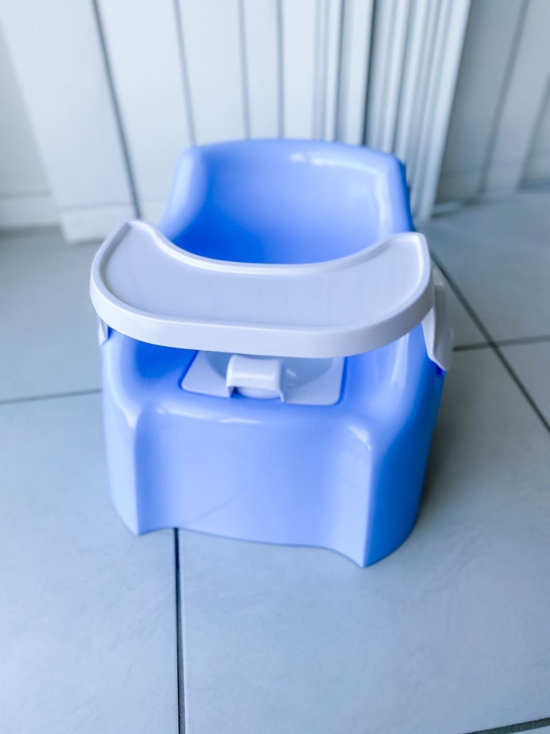 Potty Chair